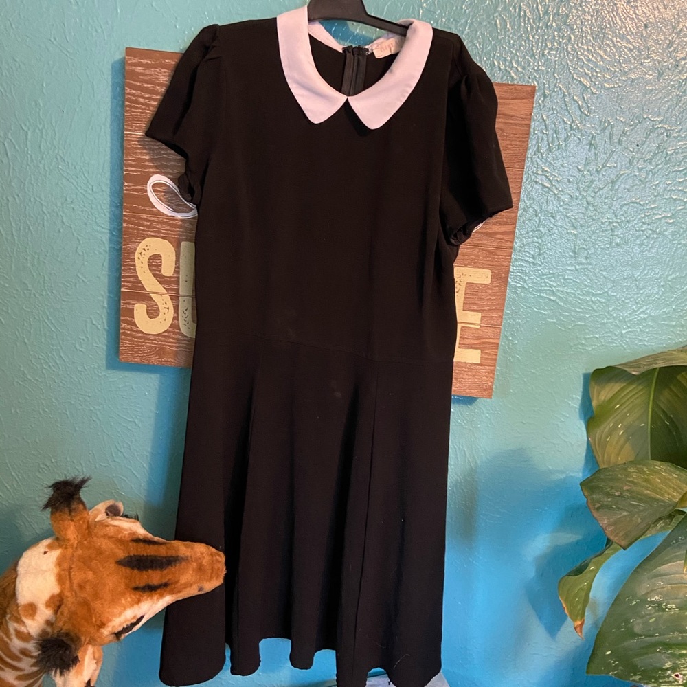 Cute B&W Peter Pan Collar Dress